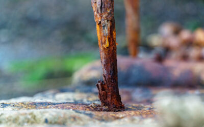 Ironwork by Pencarn Forge